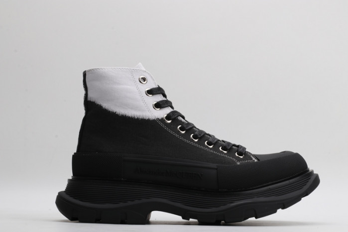 ALEXANDER MCQ93