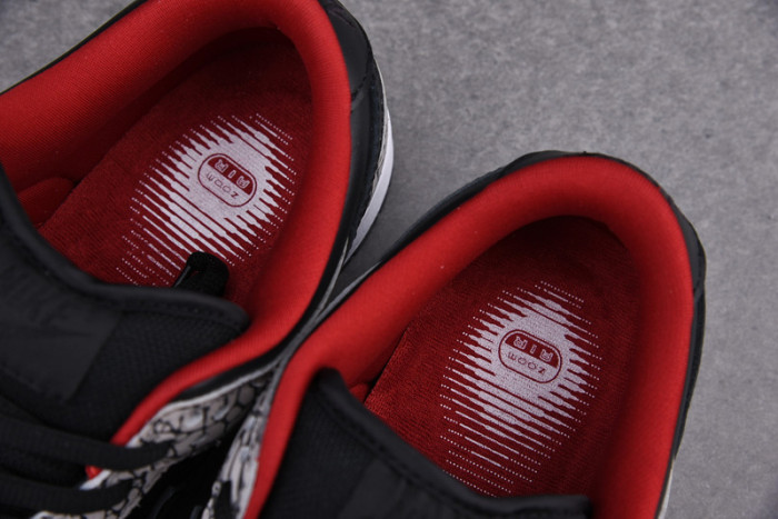 S*p*e x dunk low pro sb