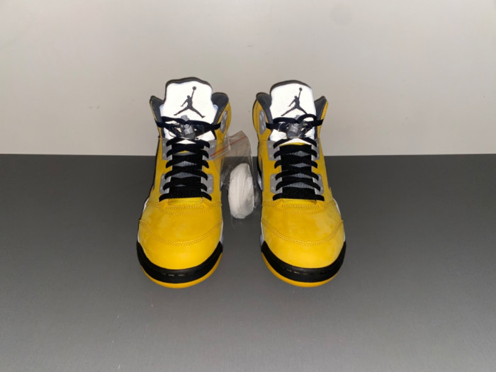 Air Jordan 5 Retro T23 