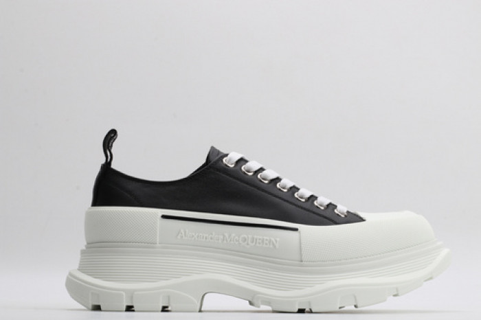 ALEXANDER MCQ67