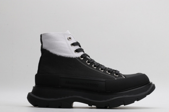 ALEXANDER MCQ93