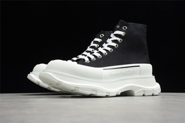 ALEXANDER MCQ11