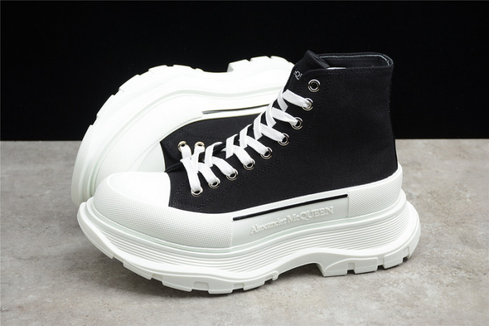 ALEXANDER MCQ11