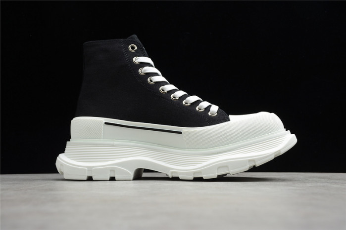 ALEXANDER MCQ11