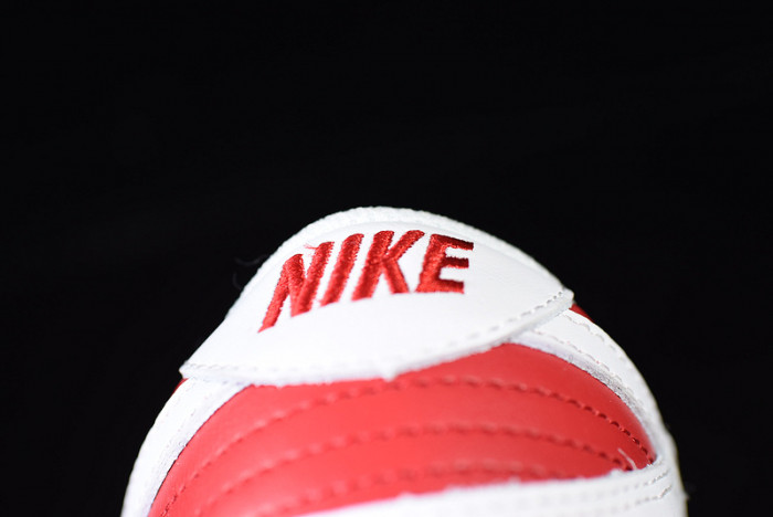 Dunk Low GS